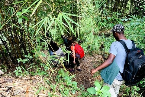 Hiking Binana Mountain & Waterfalls in Rwanda