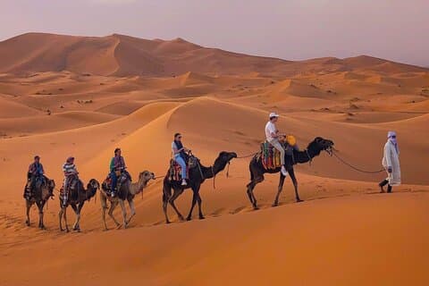 Paseo privado en camello sobre Erg Chebbi al atardecer o al amanecer