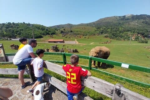 Cabarceno Natural Park Guided Visit from Santander