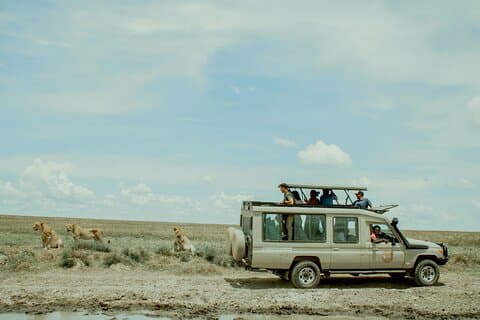 Safari di lusso in Tanzania di 4 giorni