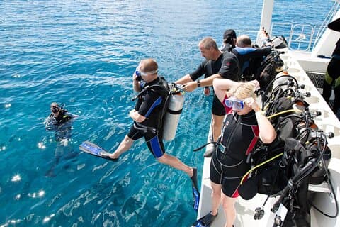 8 Stunden Schnorcheln mit Mittagessen und Transfer in Sharm El-Sheikh