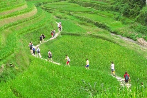 Private day tour to Longji Rice Terraces and Minority Villages
