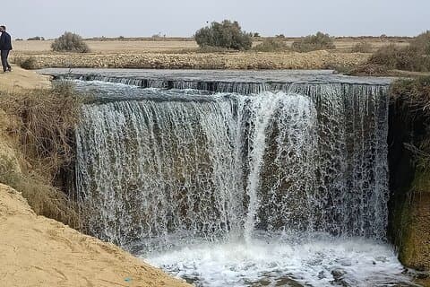 Fayoum Oasis:4x4 Safari,Whales valley,waterfalls,Sandsurfing lunc
