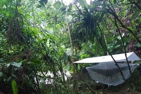 2-Day Forest Survival and Nature Course in Luang Prabang