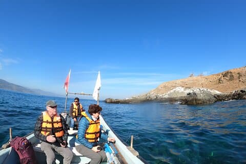 Penguin Watching Navigation Cachagua From VALPARAISO Private Tour
