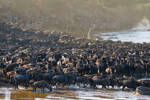 4 dage i naturen: Hoteller i nærheden af Serengeti & Ngorongoro