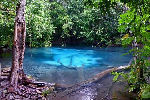 Krabi Jungle Tour:Hot Spring Waterfall,Emerald Pool & Tiger Cave