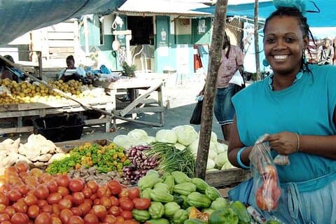 Montego Bay City privat tur