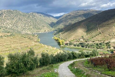 Tour privado por el valle del Duero y experiencia vinícola