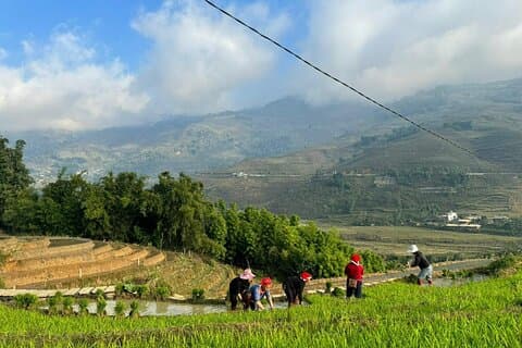From Ha Noi: 3 Days and 2 Nights Sapa Trek with Local Guide