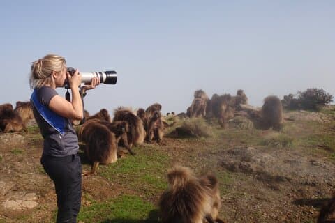 Simien Mountains 2-Night/3 Days Trek,Wildlife spotting & Camping
