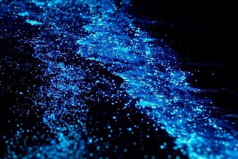 発光プランクトンを見るホン島のサンセットツアー