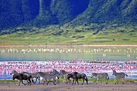 3-Day Safari to Tarangire, Ngorongoro & Kilimanjaro Foothills