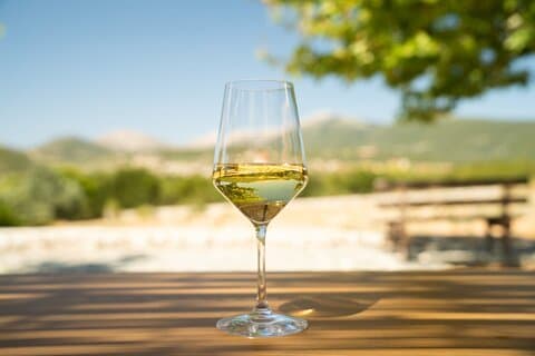 Kefalonia Wine Adventure med 18 vinsmaking i 3 vingårder