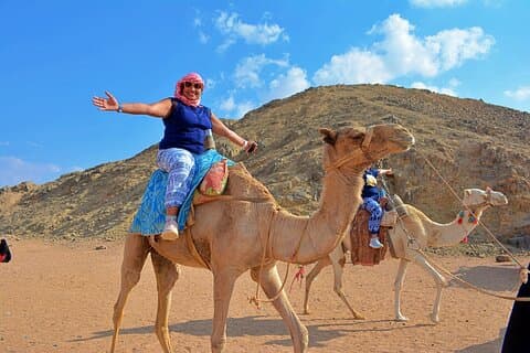 Hurghada: Mega Safari, ATV, 4x4WD Jeep, Camel w/ BBQ & Show