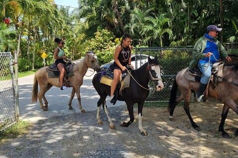 Reiten, Zipline, Ökopark-Abenteuer in Roatan