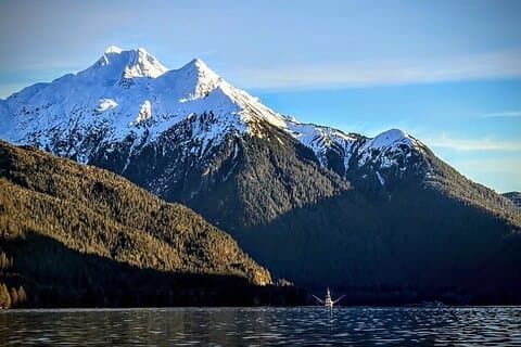 Private Sitka Wildlife LAND & SEA COMBO for 6 w/meal