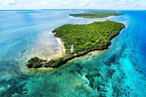 Delfin- und Tumbatu-Insel-Schnorcheltour mit Abholung
