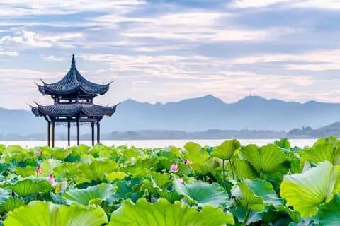 Excursion privée d'une journée à Hangzhou avec le lac de l'Ouest