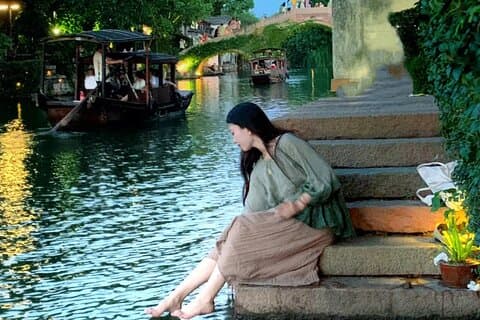 Från Hangzhou: Privat dagstur till Wuzhen Water Town