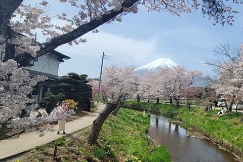 Excursion d'une journée au Mont Fuji en voiture avec des chauffeurs anglophones