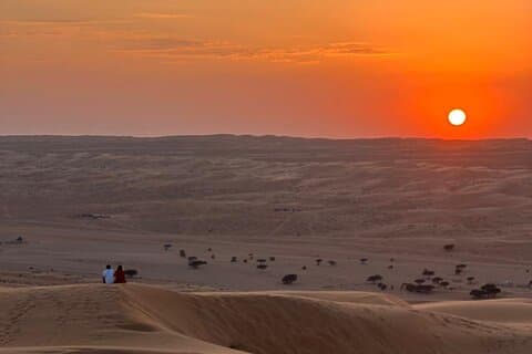 Safari d'une demi-journée dans le désert de Wahiba Sands (Sharqiyah Sands)
