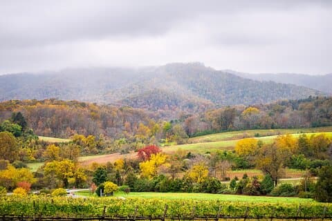 Ganztägige private Virginia-Weintour ab Washington