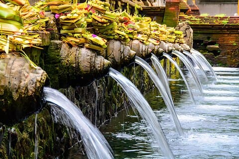 Ubud Bali: Rice Terrace, Waterfall and Tirta empul Day Tour