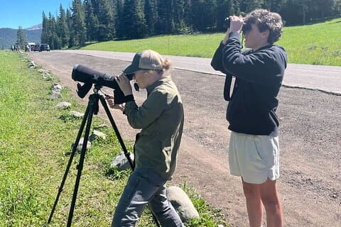 Yellowstone's Lamar Valley Wildlife Safari from Paradise Valley