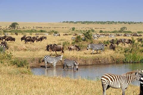 9 Days Savannah Dreams Private Tour