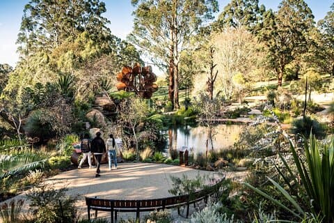 Excursão privada de um dia às cordilheiras Dandenong