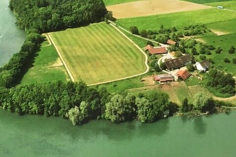Eintauchen in die Welt des Polo mit einer Privatstunde bei uns!