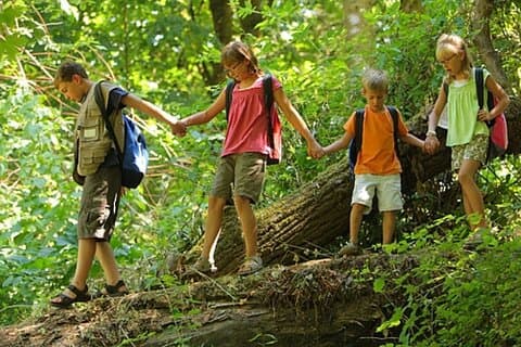 Excursão de dia inteiro pelas Montanhas Drakensberg a partir de Durban