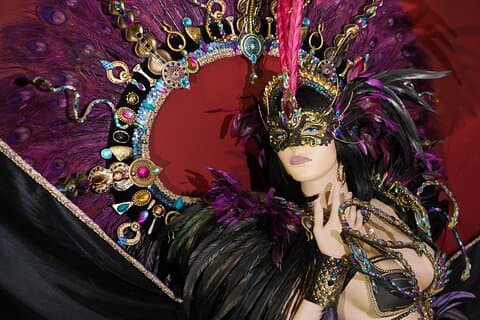 Skip the Line Caribbean Carnival History Admission Ticket