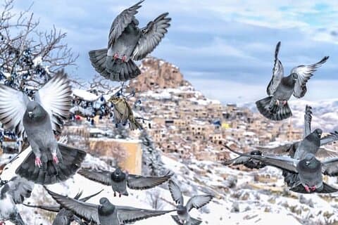 Visite privée de la Cappadoce : Villes souterraines et joyaux cachés