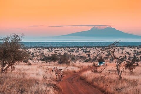 6 Dagen Mount Kilimanjaro Klimmen via Rongai Route