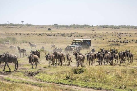 Tour de 5 días Tsavo Este y Oeste Amboseli desde Nairobi