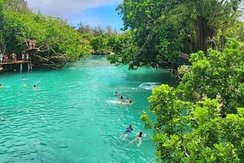 Blue Lagoon & Eden on the River - Half Day Trip with Yumi Tours