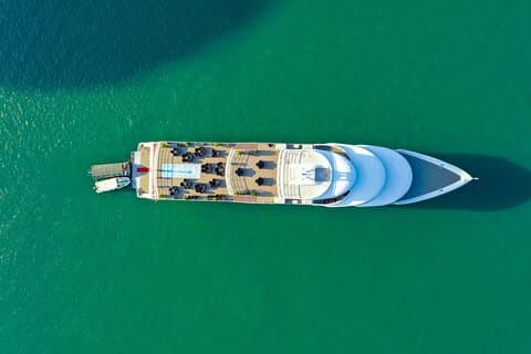 Sea Octopus - ハロン湾からのお迎え付き豪華 5 つ星 1 日クルーズ