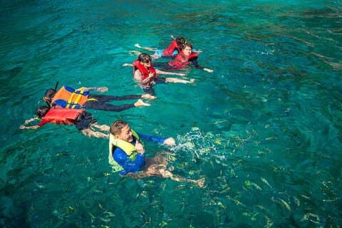Privat tur Snorkling i Saint-Martin