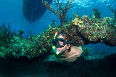 3HR Smaragd revsnorkling, leguanön och skeppsvrakstur