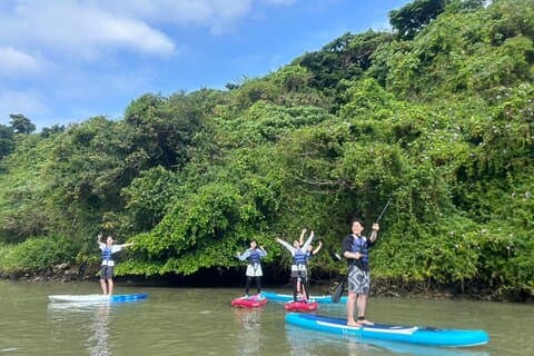SUP di mangrovie a Okinawa