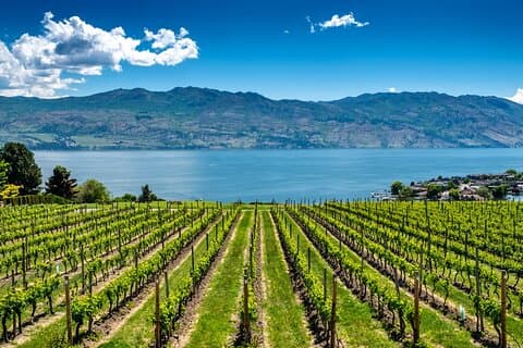 Ganztägige private Okanagan Valley Weintour ab Kelowna