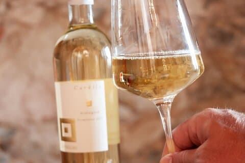 Nora Tour och Nuraghe Antigori Cellars ENTRÉ INGÅR