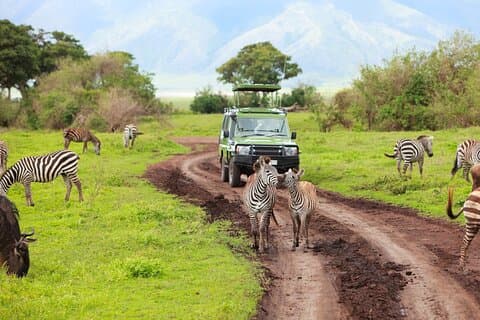 7-tägige Safari-Tour in die Nationalparks im Norden Tansanias