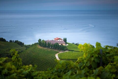 Privétour van een hele dag met Txakoli-proeverij in Sebastian en Getaria
