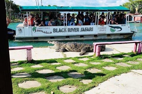 Black River Safari und Floyd Pelican Bar Tour ab Montego Bay