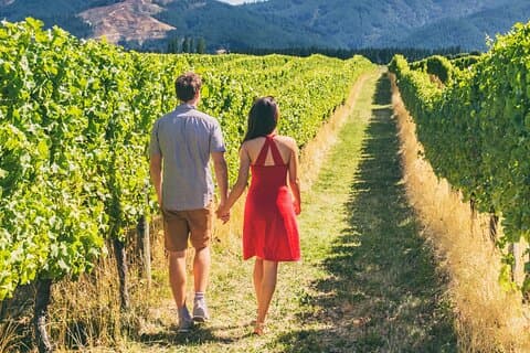 La Rioja Vineyards Privat tur fra Bilbao (besøg på 3 vinmarker)
