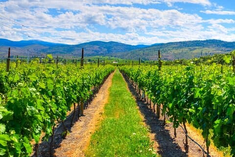 Privé Fraser Valley-wijntour van een hele dag vanuit Vancouver