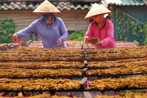 Hoteller i nærheden af Private Hanoi Ancient Village & Traditional Craft Discovery Tour